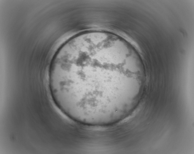 X0000113901239200910221431