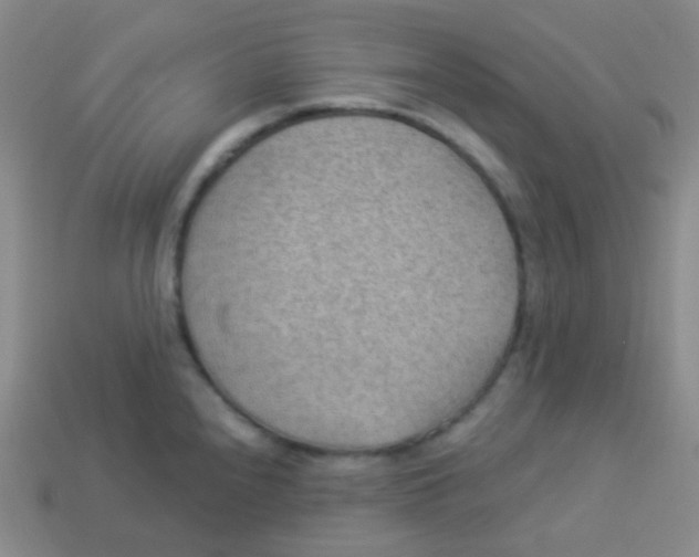 X0000113901240200910221431