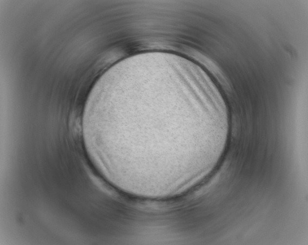 X0000113901241200910221431