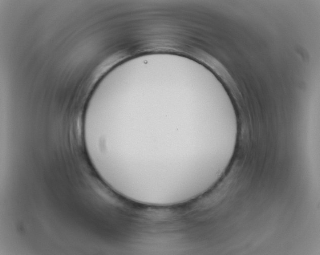 X0000113901242200910221431