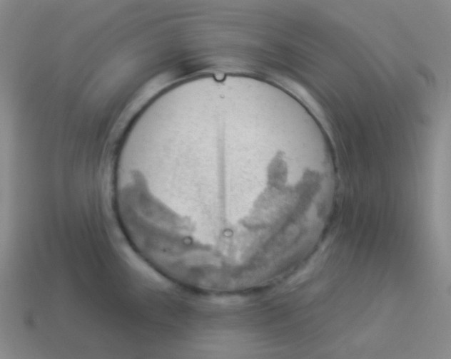 X0000113901243200910221431