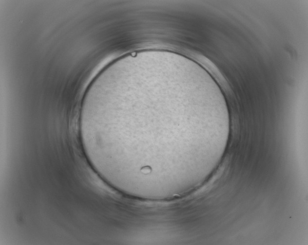 X0000113901244200910221431