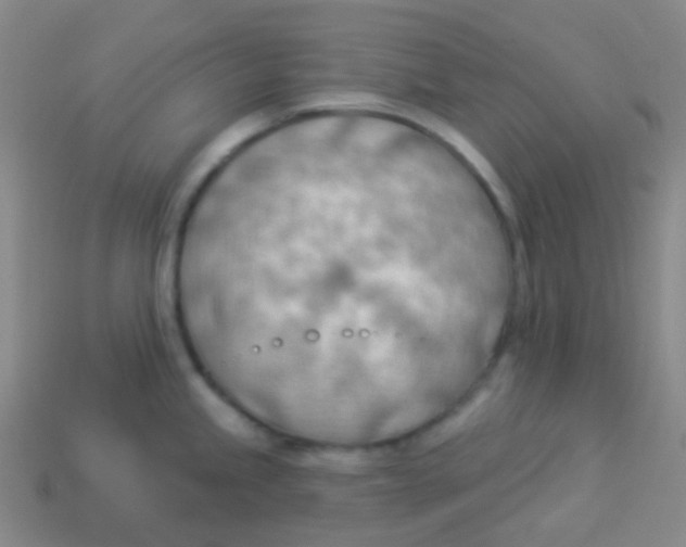 X0000113901245200910221431