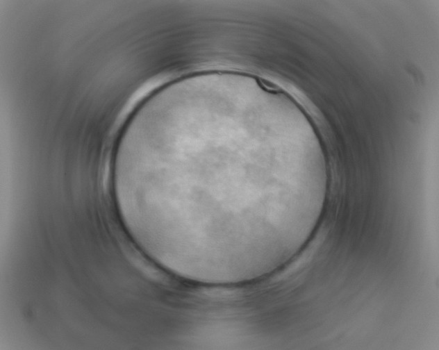 X0000113901246200910221431