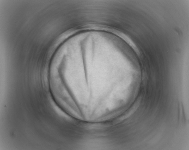 X0000113901247200910221431