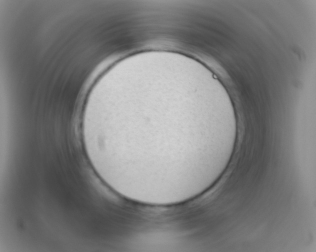 X0000113901248200910221431