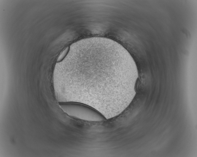 X0000113901249200910221431