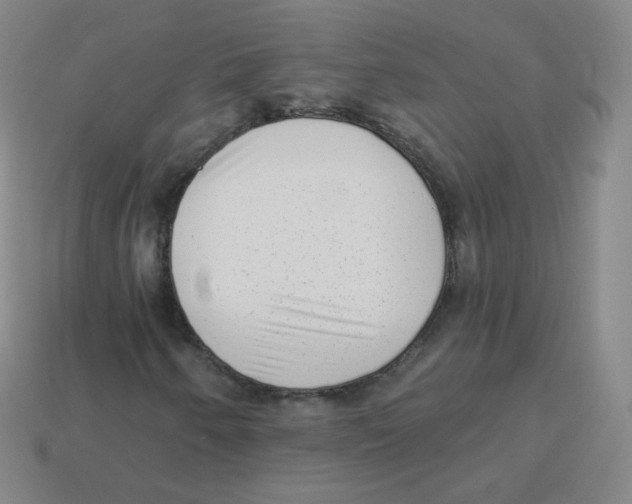 X0000113901250200910221431