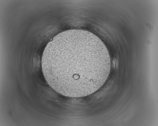 X0000113901251200910221431