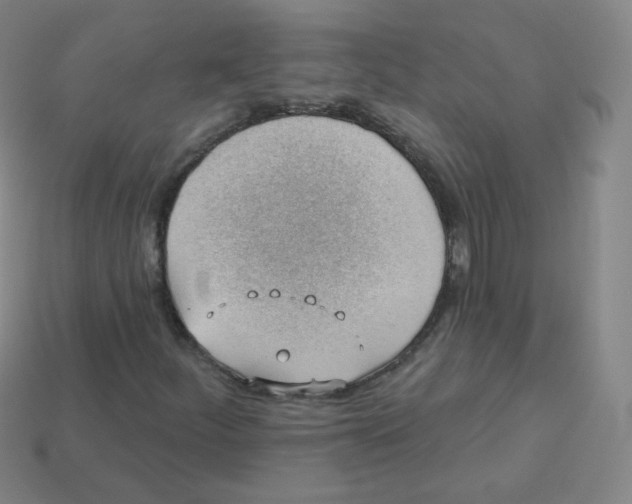 X0000113901252200910221431