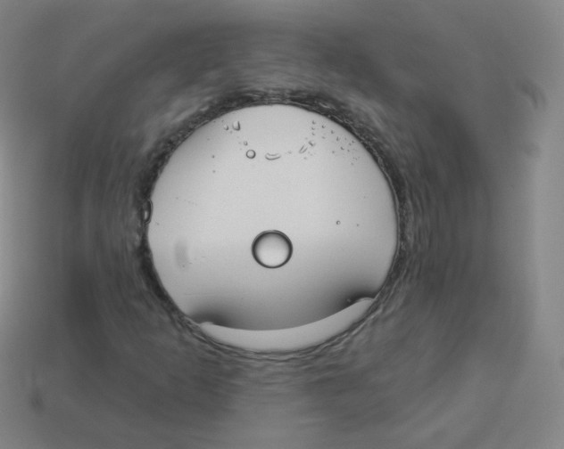 X0000113901253200910221431