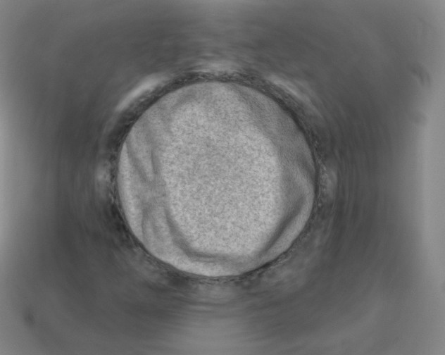 X0000113901254200910221431