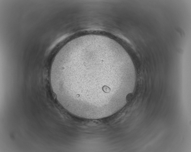 X0000113901255200910221431