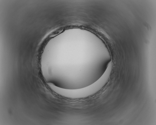 X0000113901256200910221431