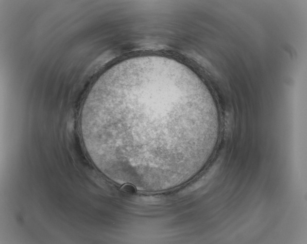 X0000113901257200910221431