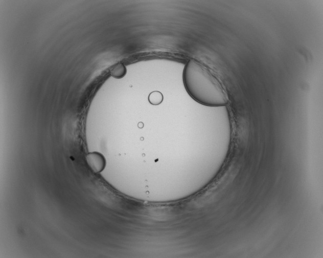 X0000113901258200910221431