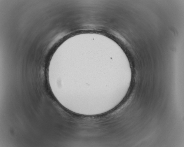 X0000113901259200910221431