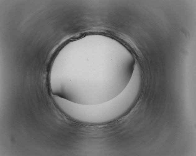 X0000113901260200910221431