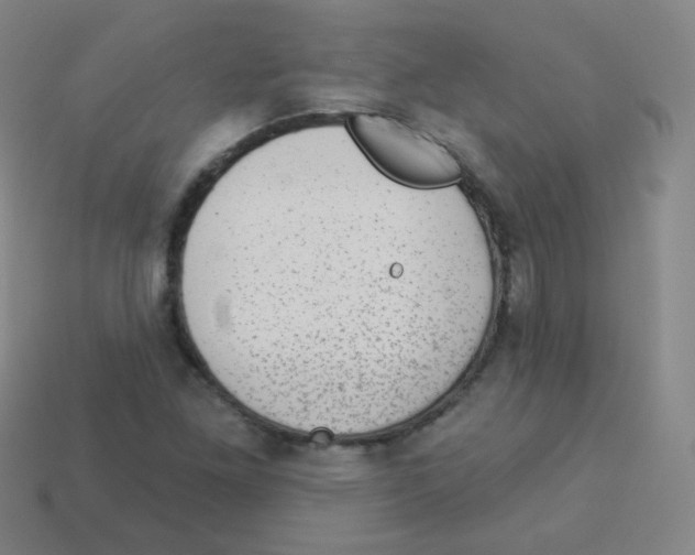 X0000113901261200910221431