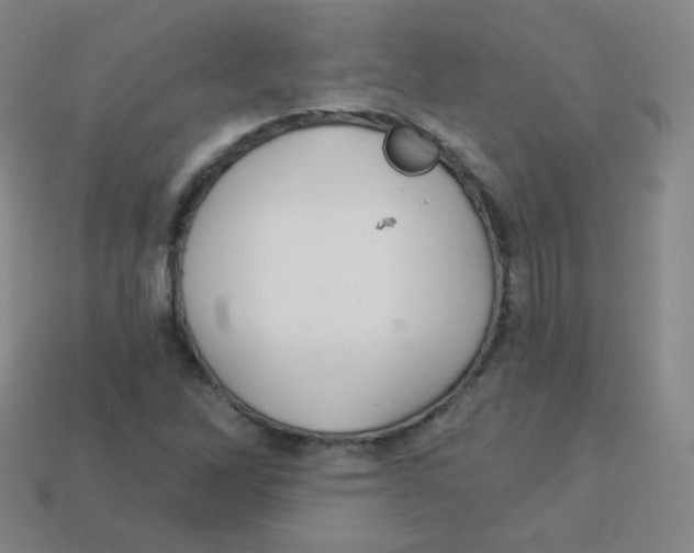 X0000113901262200910221431