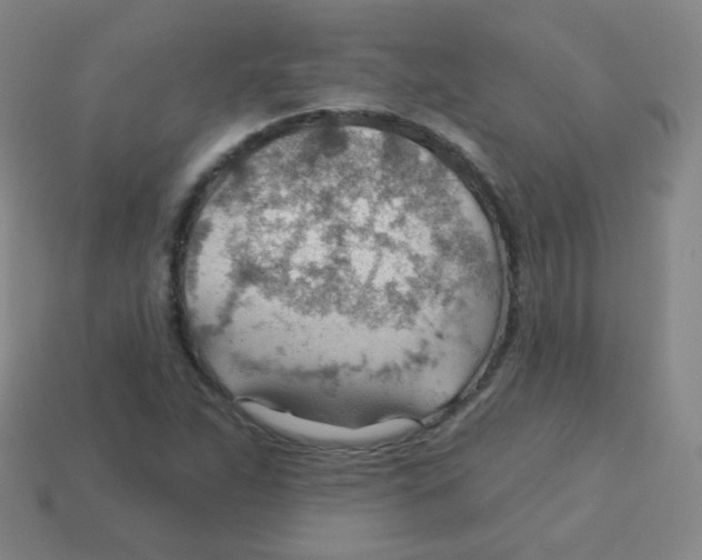 X0000113901263200910221431