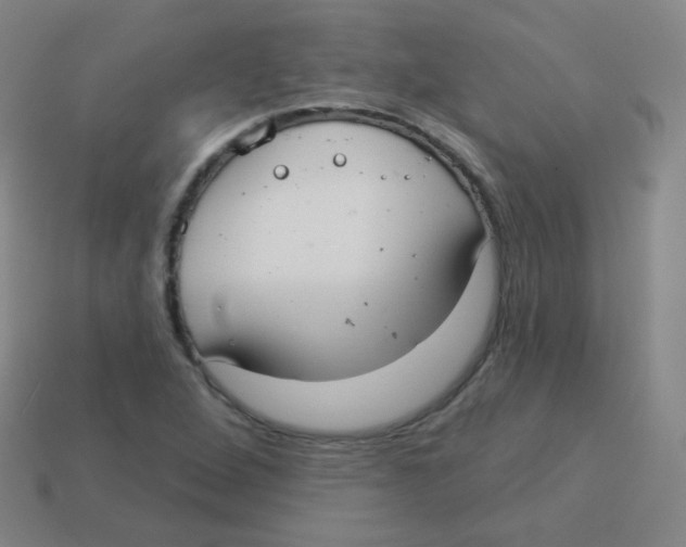 X0000113901264200910221431