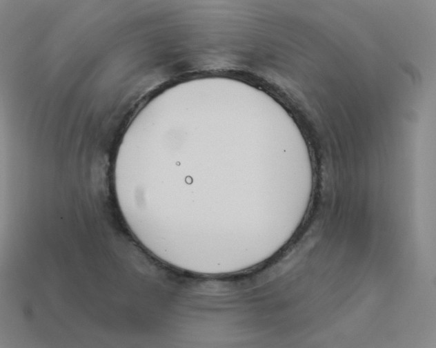 X0000113901265200910221431