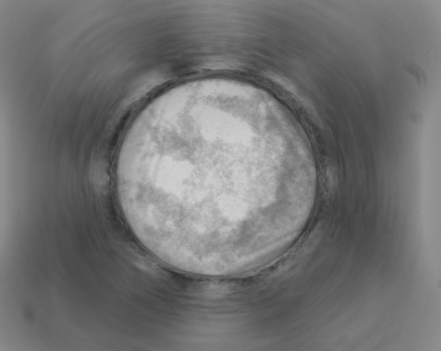 X0000113901266200910221431