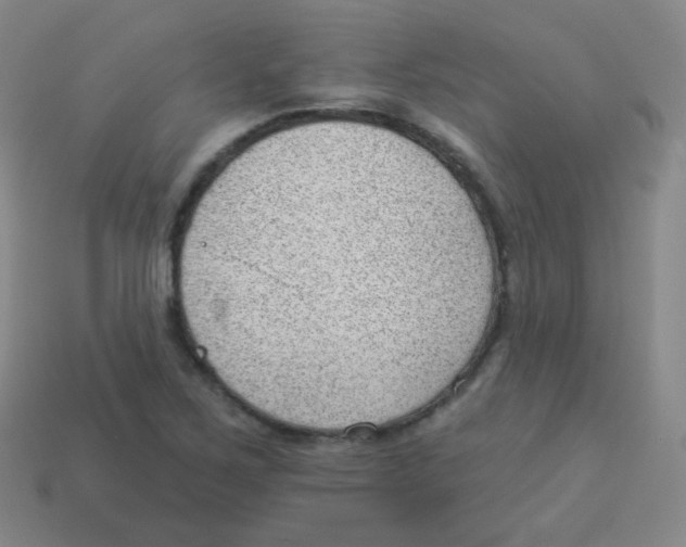 X0000113901267200910221431