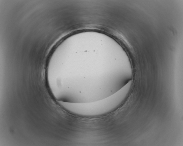 X0000113901268200910221431