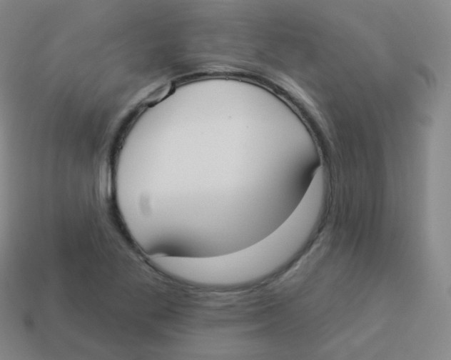 X0000113901269200910221431