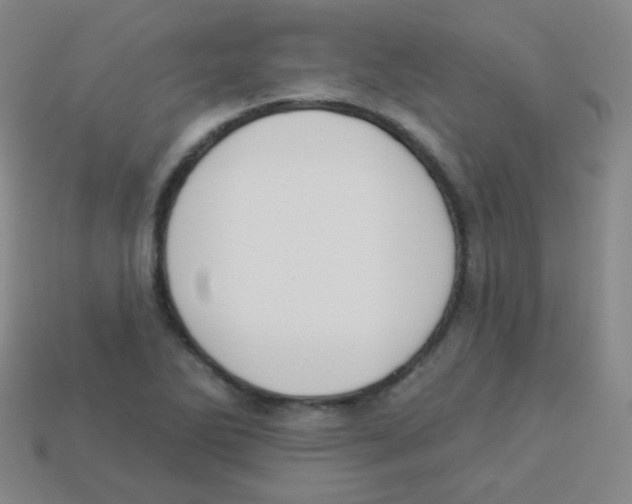 X0000113901270200910221430