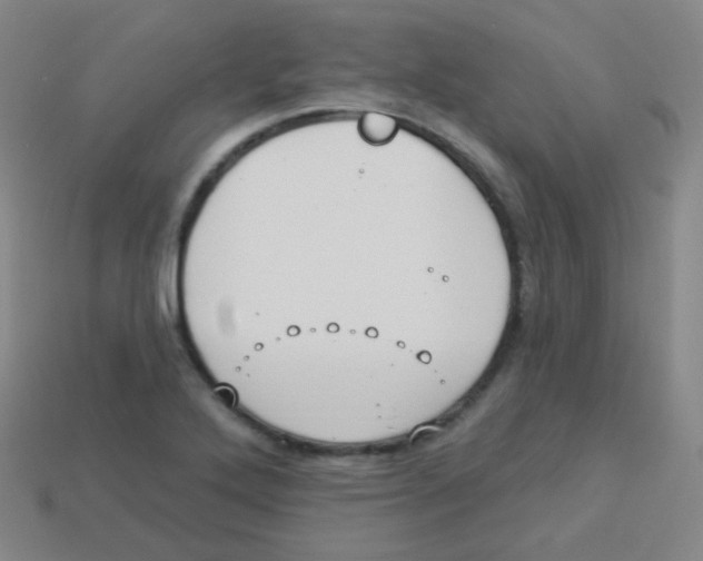 X0000113901272200910221430