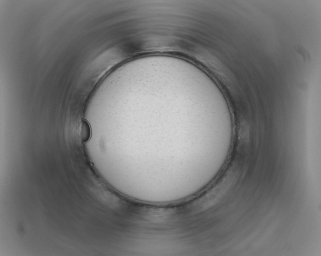 X0000113901273200910221430