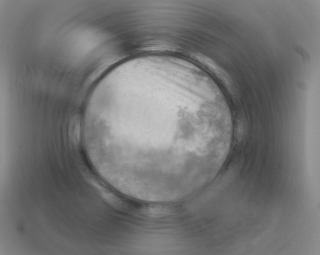 X0000113901274200910221430