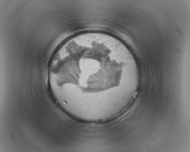 X0000113901275200910221430