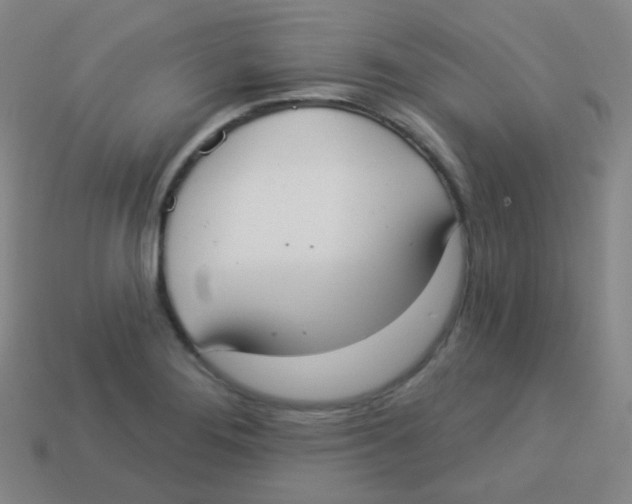 X0000113901276200910221430