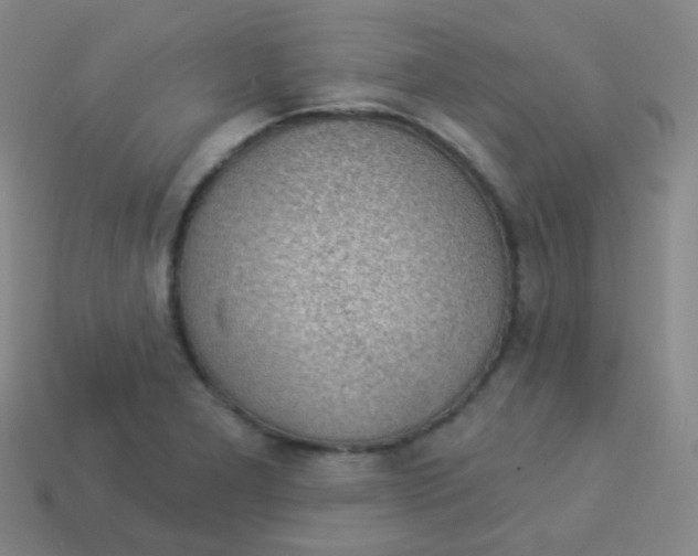 X0000113901277200910221430