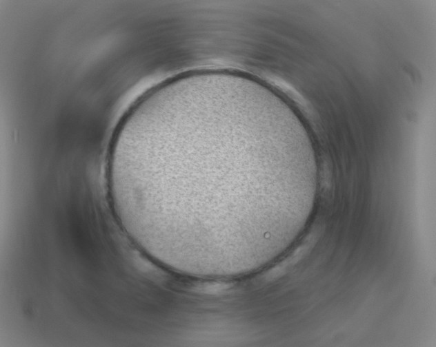 X0000113901278200910221430