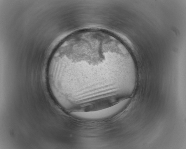 X0000113901279200910221430