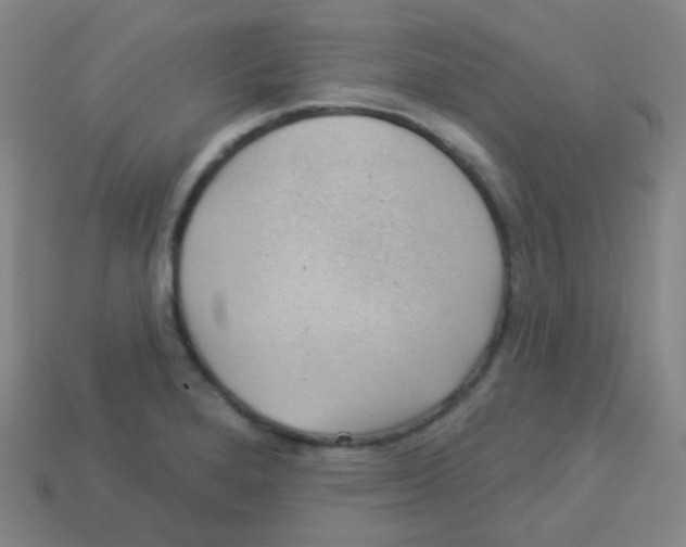 X0000113901280200910221430