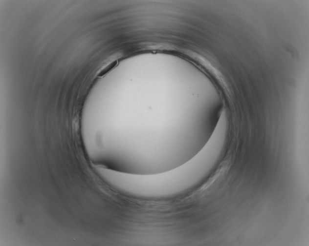 X0000113901281200910221430