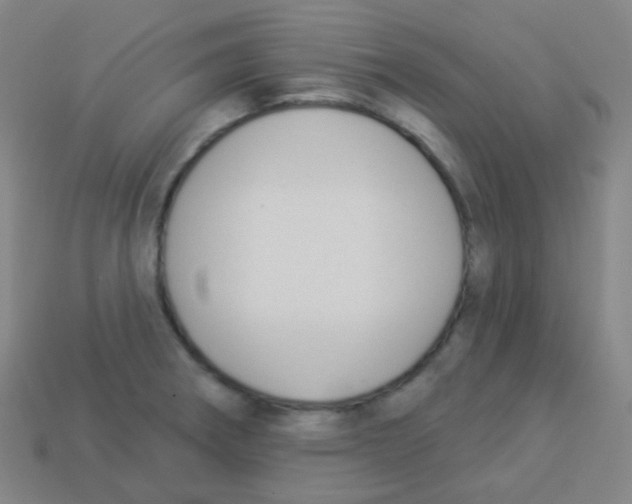 X0000113901282200910221430