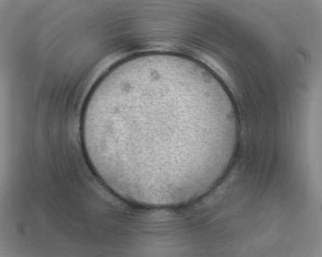 X0000113901283200910221430