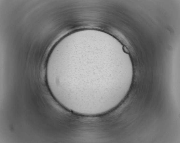 X0000113901284200910221430