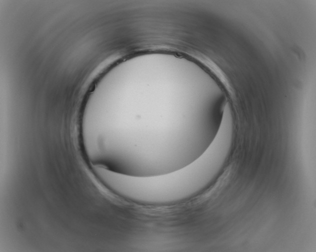 X0000113901285200910221430