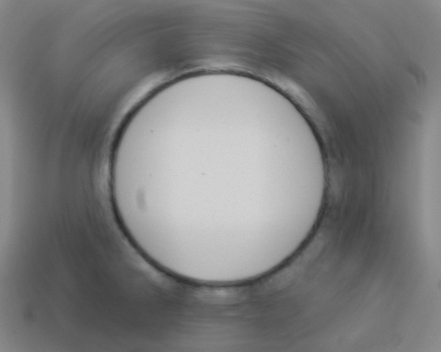 X0000113901286200910221430