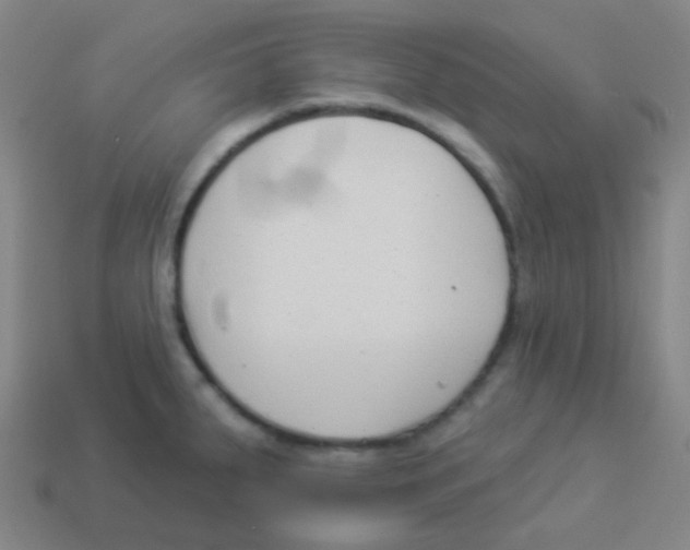 X0000113901287200910221430