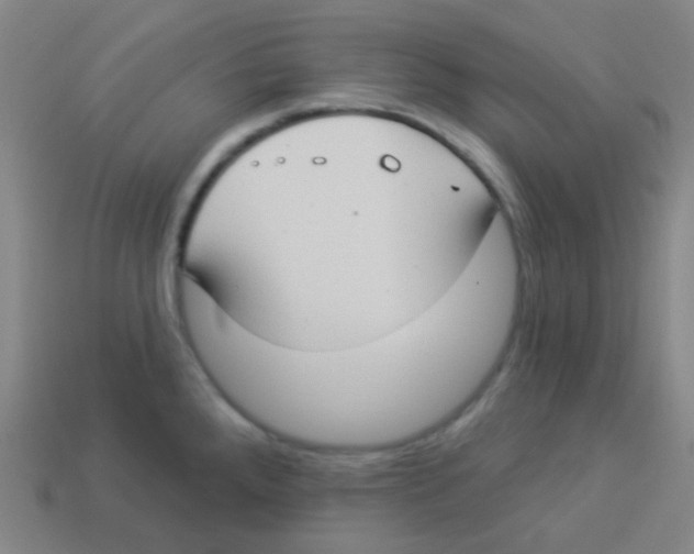 X0000113901288200910221430