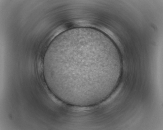 X0000113901289200910221430